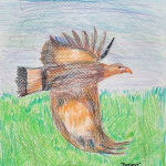 Православная интернет-карусель. ON-LINE викторины http://internet-karusel.kz