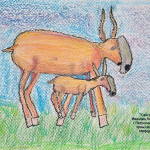 Православная интернет-карусель. ON-LINE викторины http://internet-karusel.kz